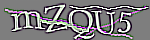 Enter the character string shown in the picture